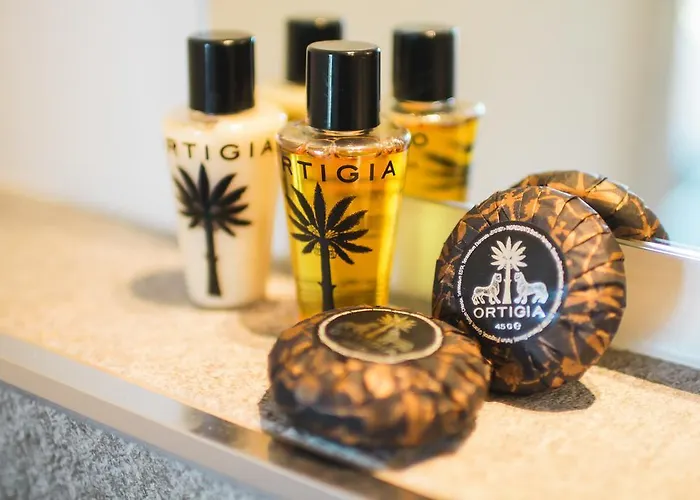 酒店 Lion Blanc 圣特罗佩