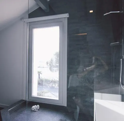 酒店 Lion Blanc 3*