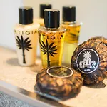酒店 Lion Blanc 圣特罗佩