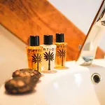Lion Blanc 酒店 圣特罗佩