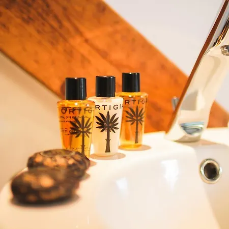 Lion Blanc מלון סן טרופז