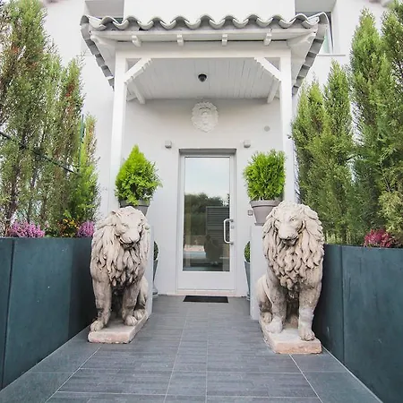 Lion Blanc סן טרופז