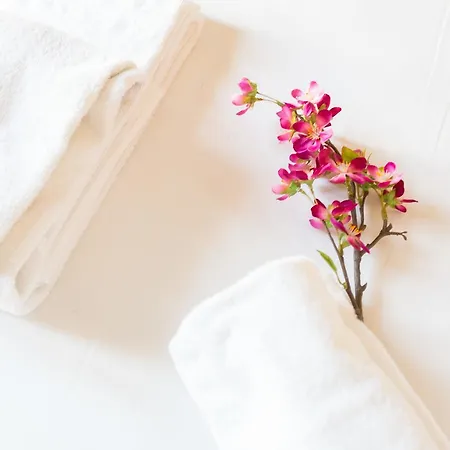 Lion Blanc סן טרופז