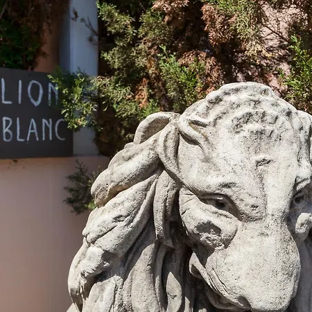 酒店 Lion Blanc 3*