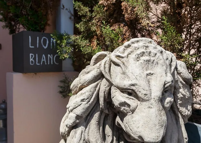 Hotel Lion Blanc 3*
